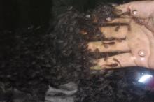 thumb16